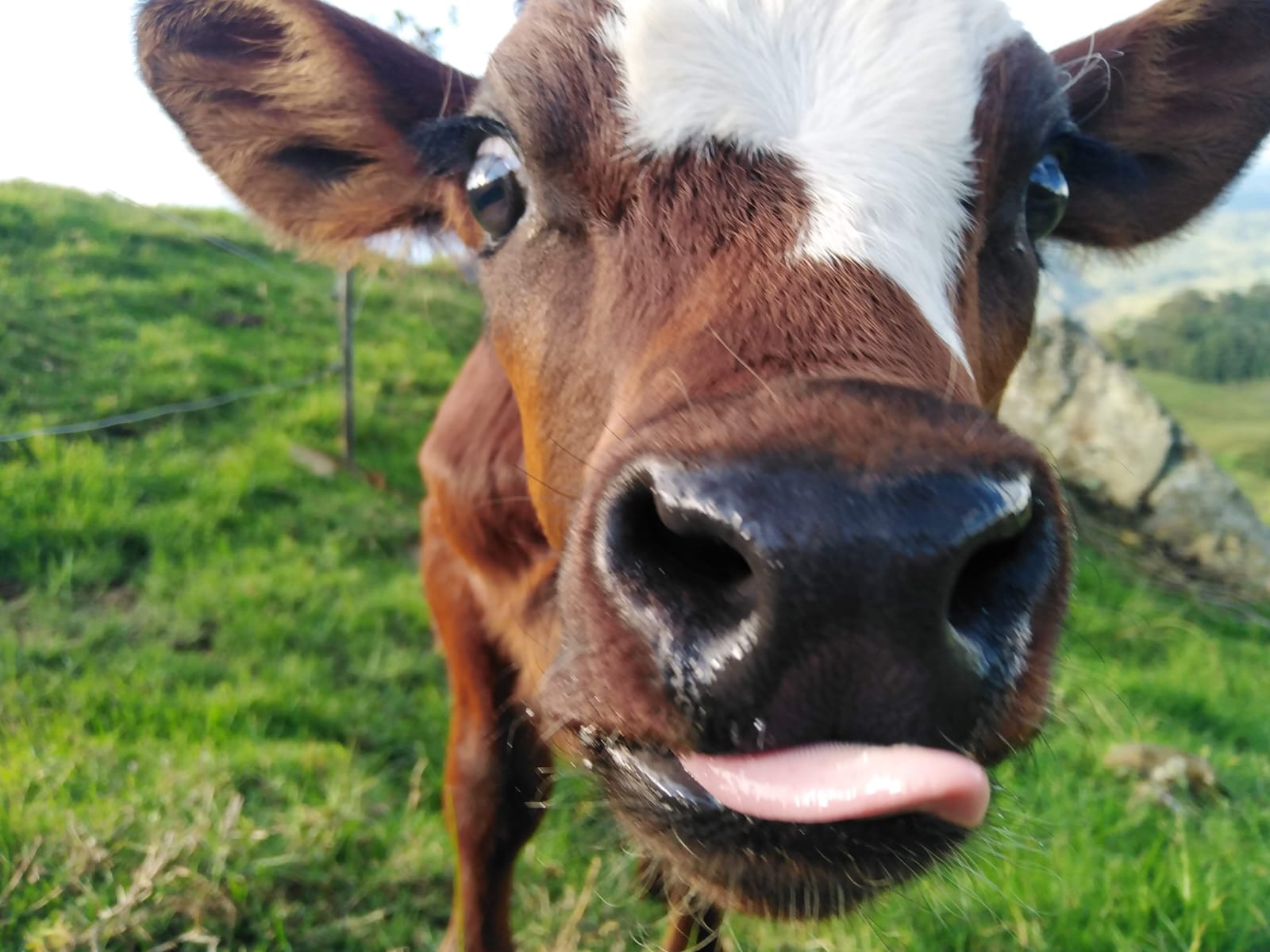 sobre nosotros whatsapp image 2025 07 22 at 09.51.57