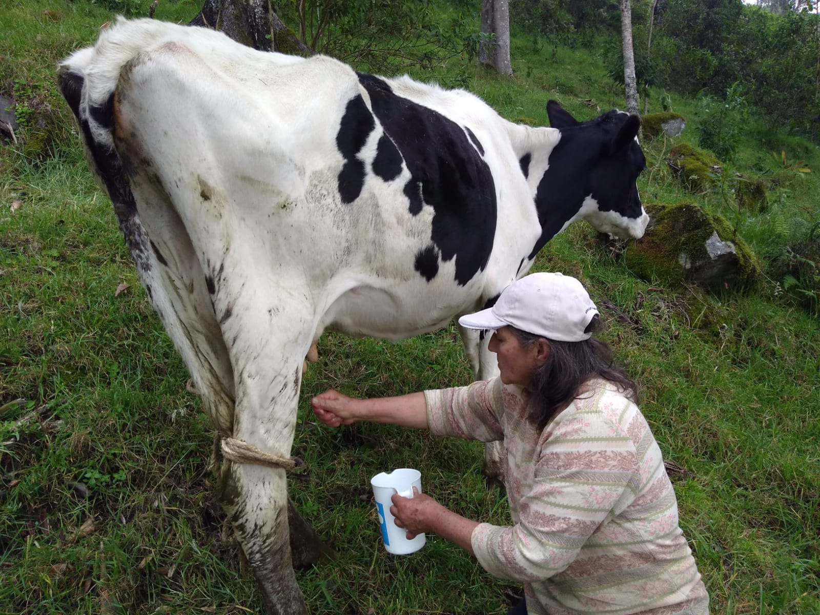 sobre nosotros whatsapp image 2025 07 22 at 09.51.58